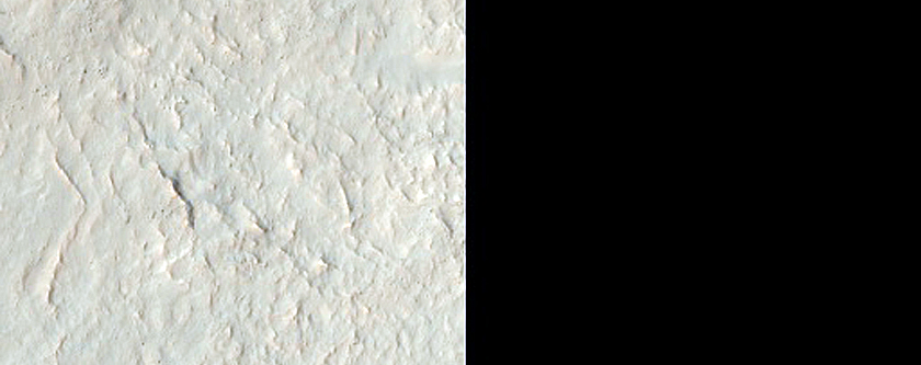 Gullies in Noachis Terra Crater