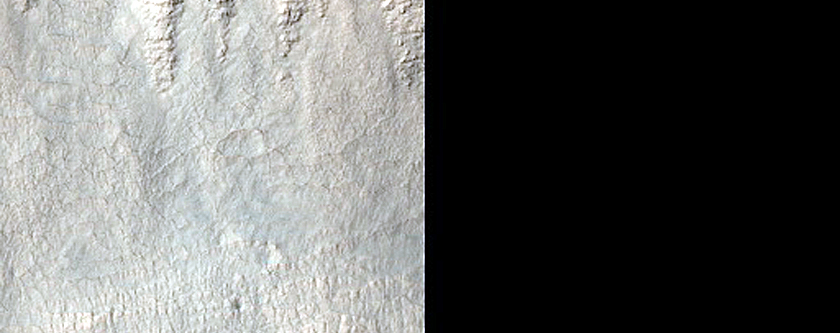 Possible Gullies in Crater Rim in Terra Sirenum