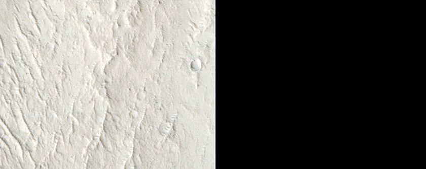 Elysium Planitia Lava Margin