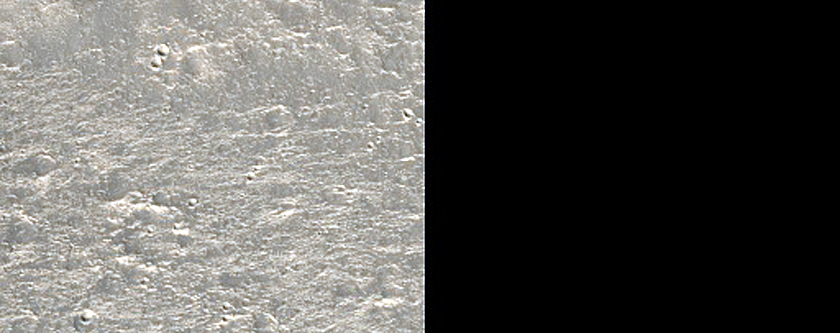 Elysium Planitia