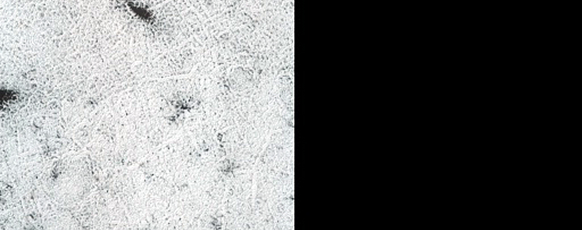 Seasonal Activity on Polygonal Terrain