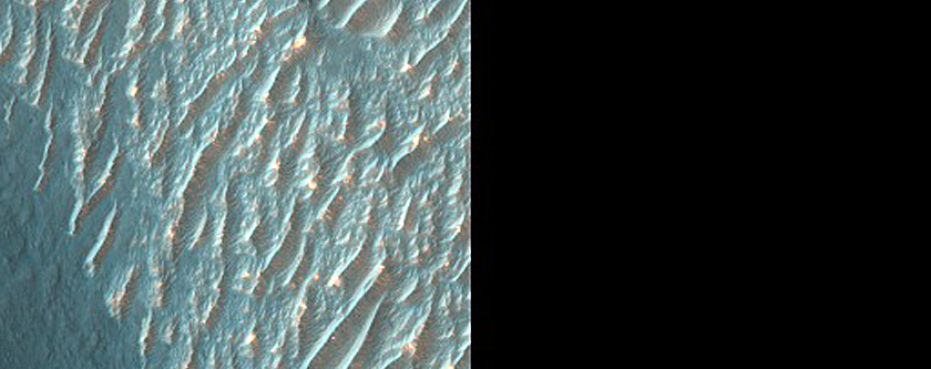 Bright Materials in Nectaris Fossae