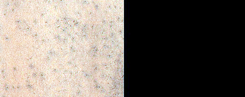 Cryptic Terrain Margin Monitoring near Reynolds Crater