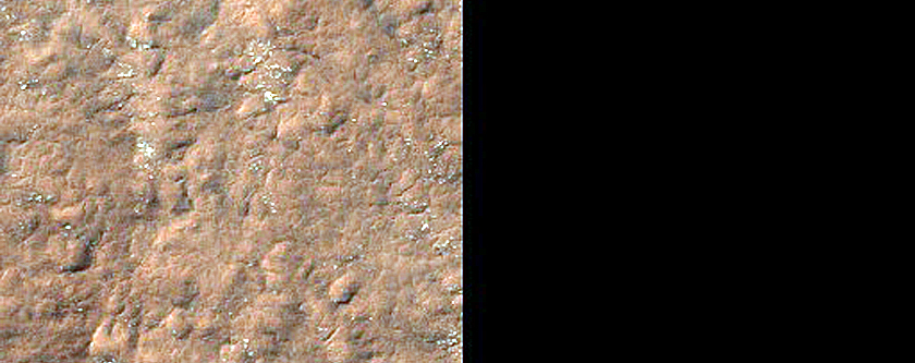 Terrain Sample