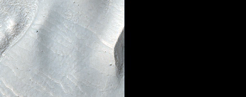 Gullied Crater Wall