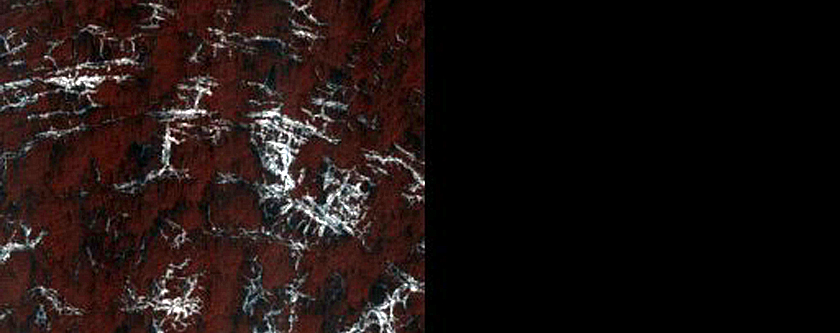 Cryptic Terrain Margin Monitoring in Main Crater
