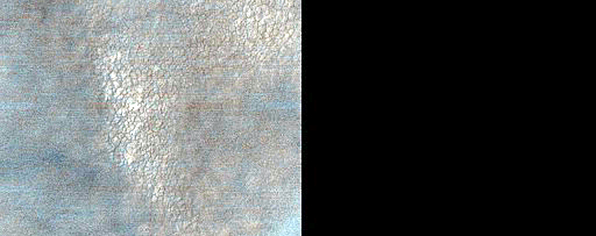 Low-Latitude Dunes with Seasonal Spots