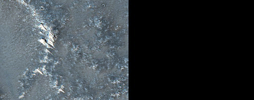 Terrain Sample