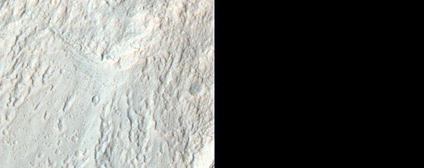Gully Monitoring