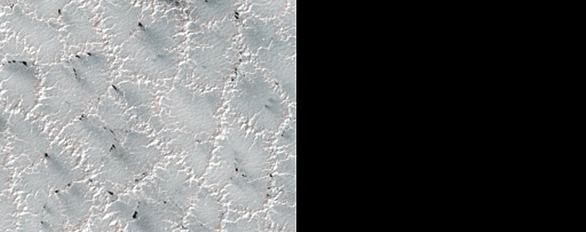 Bright and Dark Fans on Patterned Ground Dubbed Troy