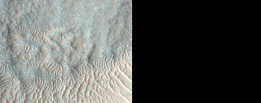 Gully Monitoring