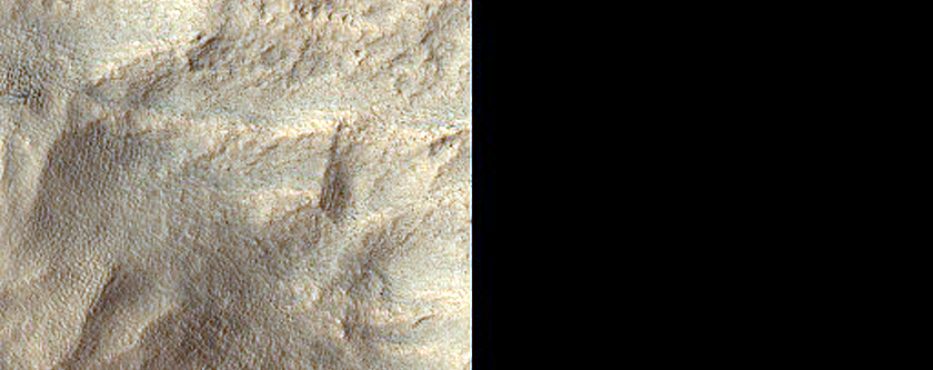 Scarp Monitoring