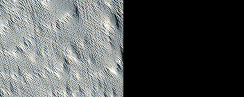 Flow Front Morphology