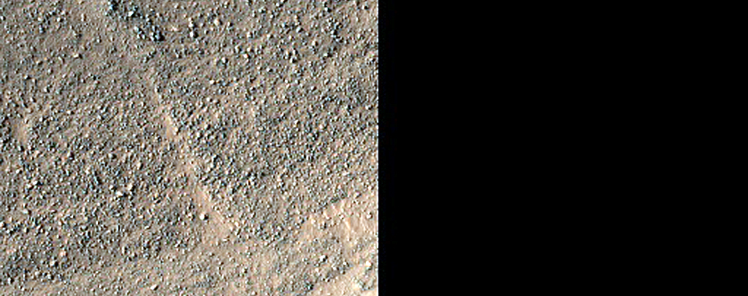 Gullies Above Lobate Flow in Nereidum Montes