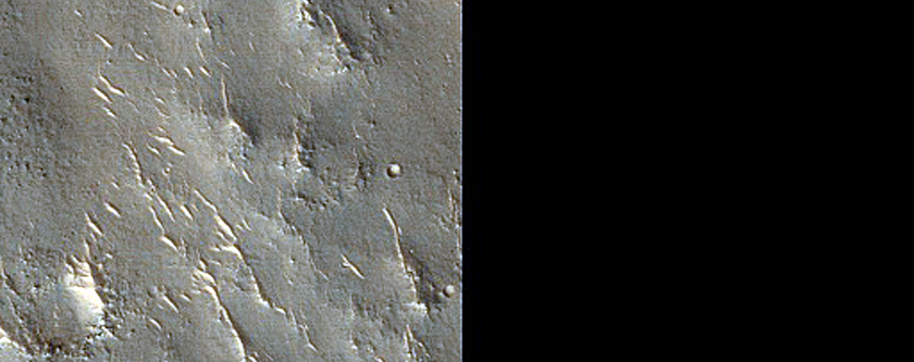 Terrain Sample