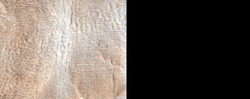 Terrain Sample