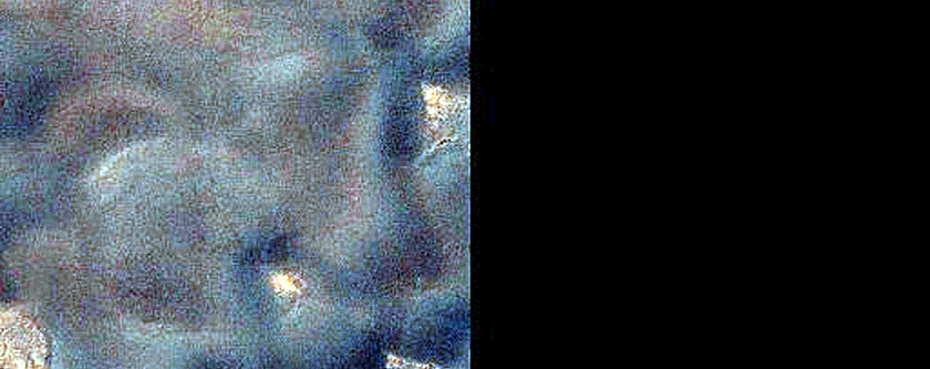 USGS Dune Database Entry Number 2159-736