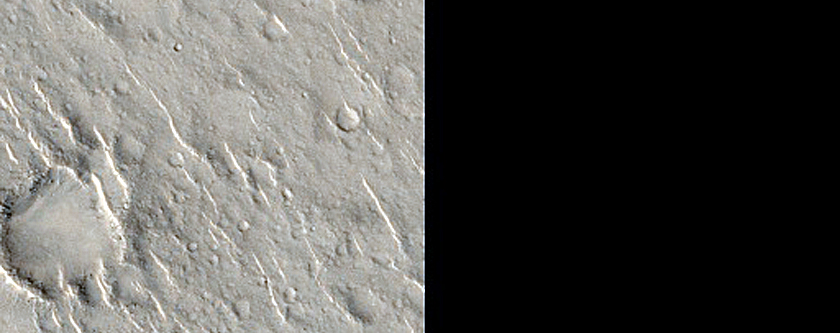 Isidis Planitia