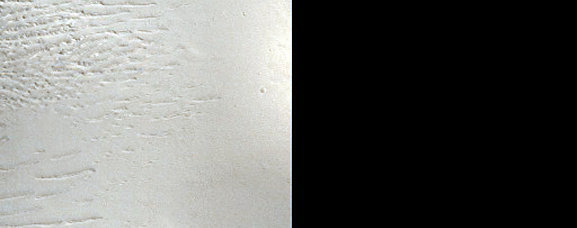 Terrain Sample