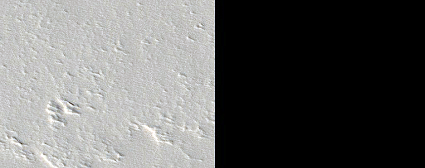Tharsis Region Dust Storm Monitoring