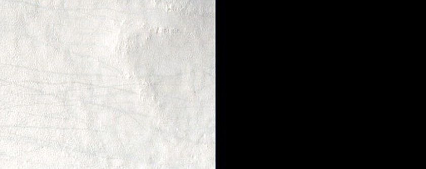 Gullies in Southern Mid-Latitude Crater