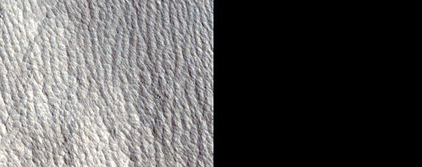 Terrain Sample