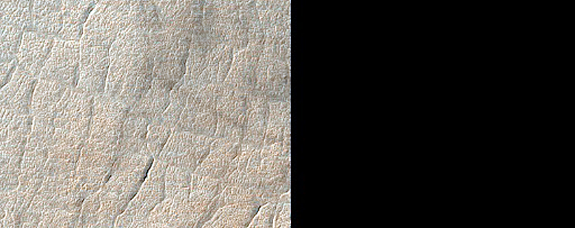 Terrain Sample