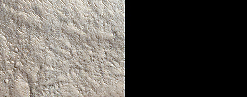 Terrain Sample
