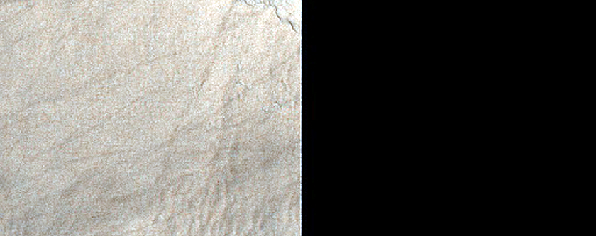 Gully Monitoring