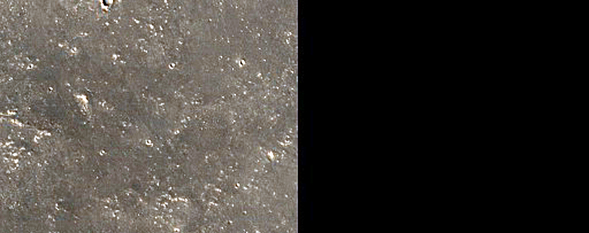 Terrain Sample