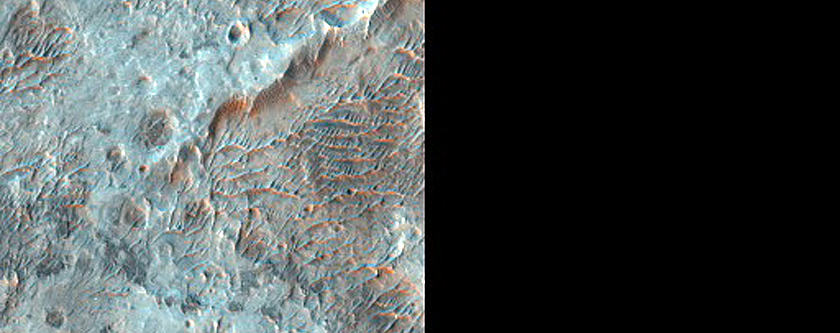 Alluvial Fans in Roddy Crater