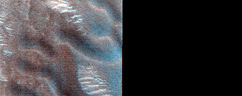 Dune Monitoring