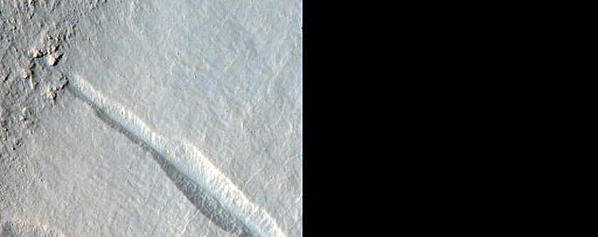 Gully Monitoring