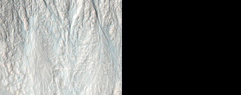 Large East Facing Gully