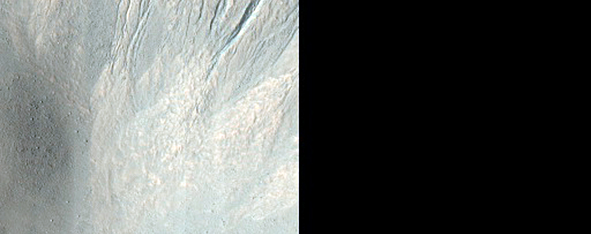 Gullied Crater Wall