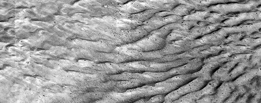 Burroughs Crater Dunefield