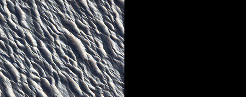 Monitoring Site in Northern Amazonis Planitia
