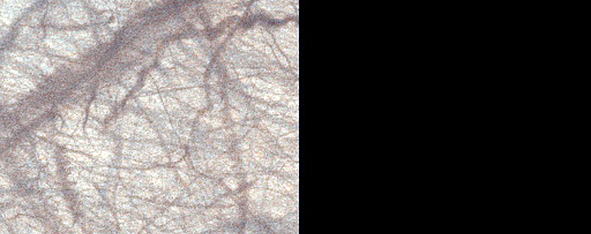 USGS Dune Database Entry Number 1177-668