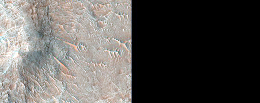 Terrain Sample
