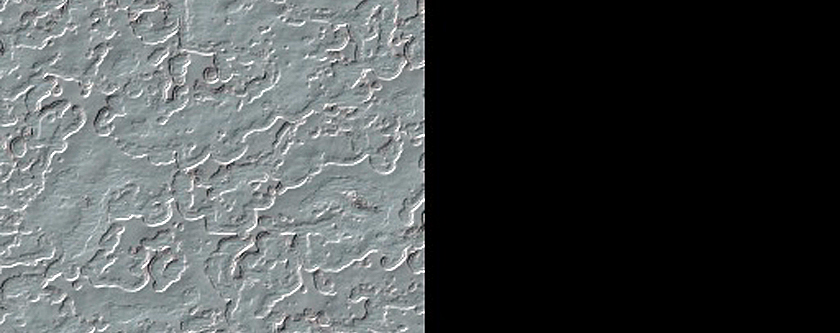 South Polar Residual Cap Intraseasonal Change Monitoring