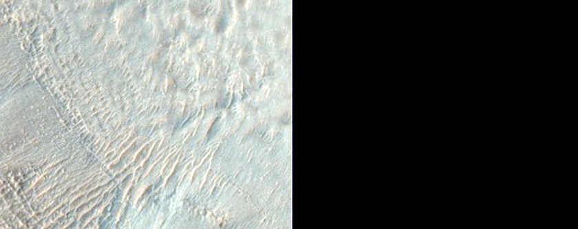 Gully Monitoring