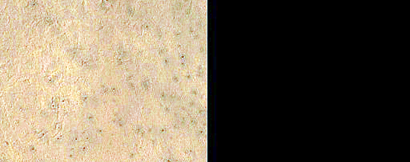Cryptic Terrain Margin Monitoring near Reynolds Crater