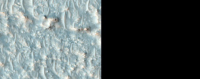 Possible Olivine-Bearing Floor of Mariner Crater