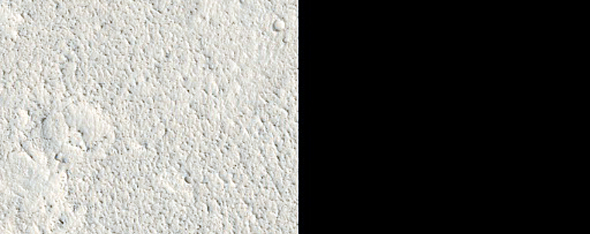 Thermal Contact in Elysium Planitia
