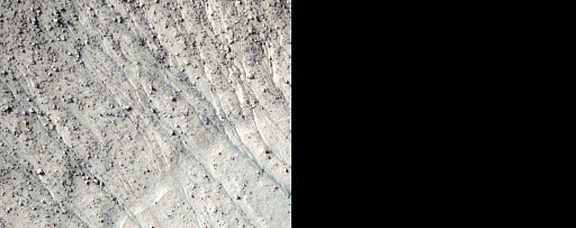 Gully Monitoring