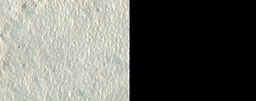 Scarp Monitoring