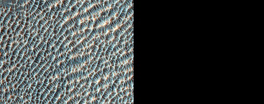 Olivine-Rich Plains in Terra Sabaea