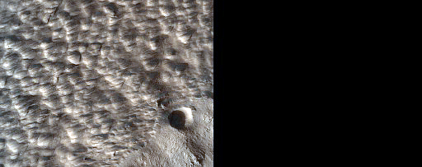 Terrain Sample