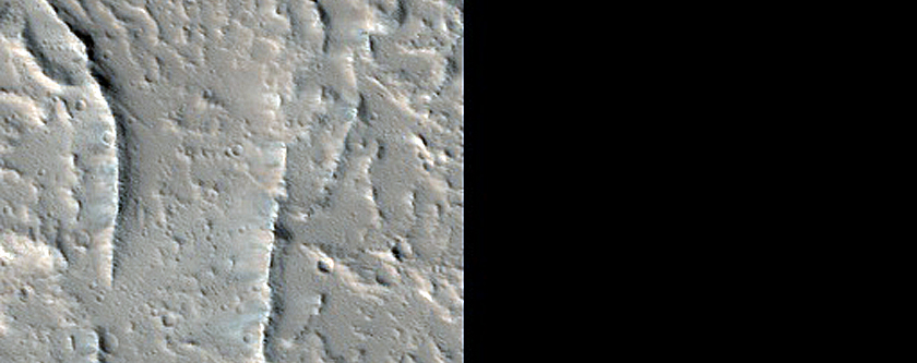 Terrain Sample