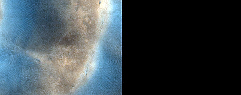 Seasonal Activity on Dunes